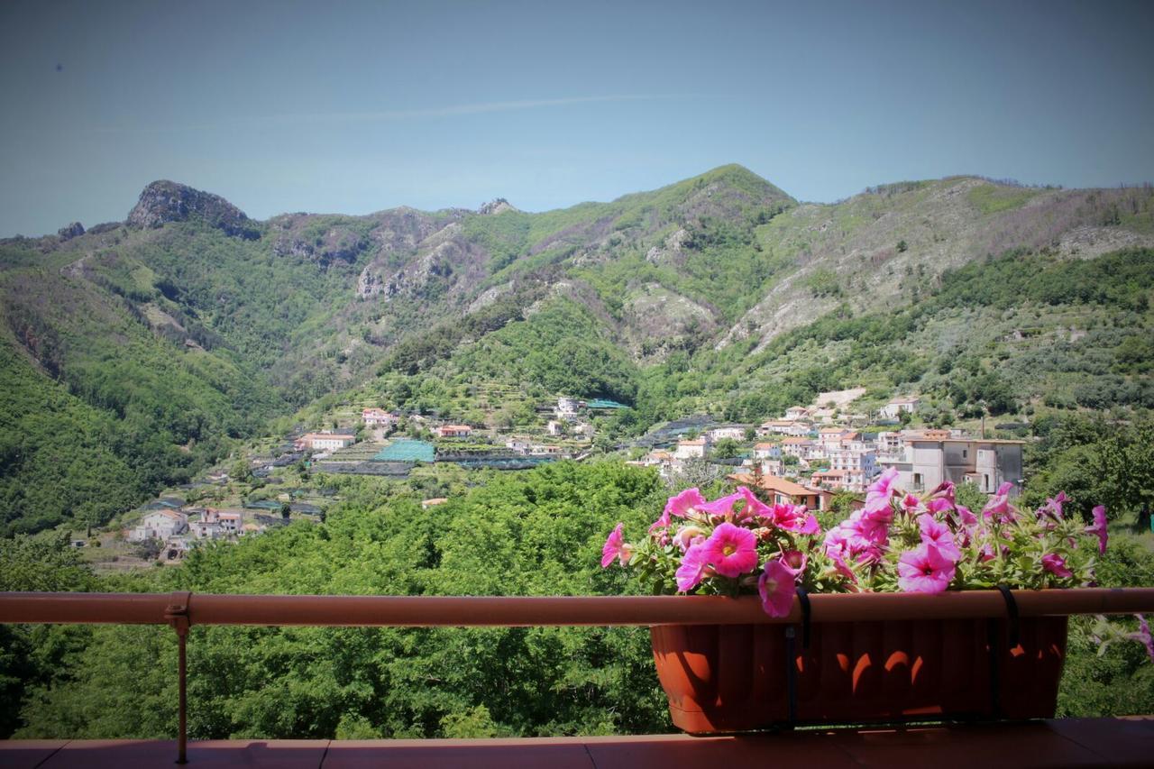 Bed and Breakfast Tra I Monti Tramonti Exterior foto