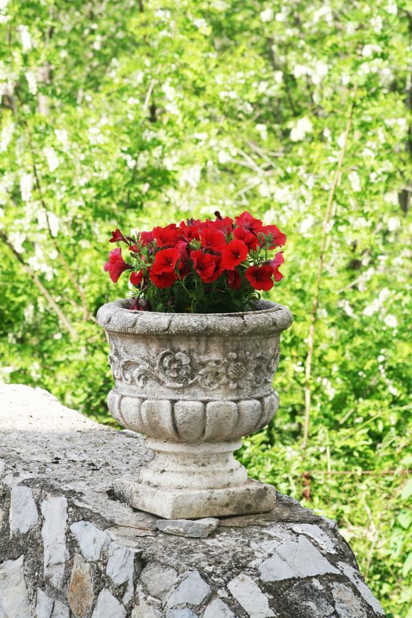 Bed and Breakfast Tra I Monti Tramonti Exterior foto