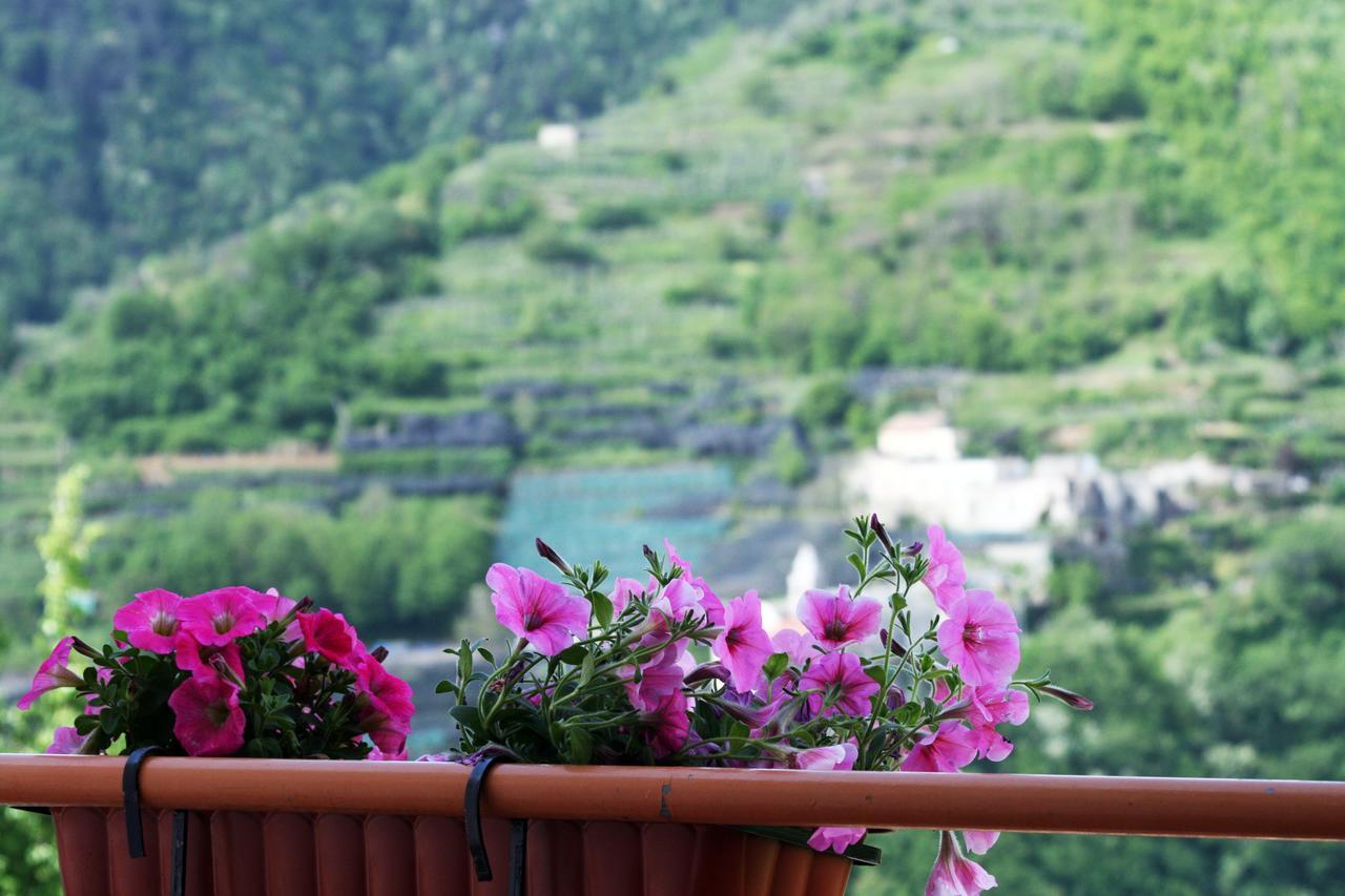 Bed and Breakfast Tra I Monti Tramonti Exterior foto