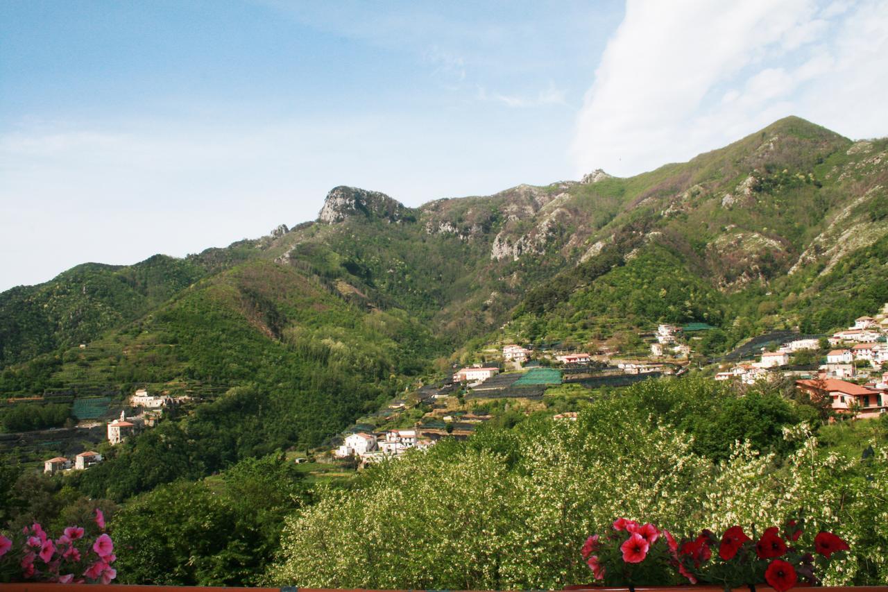 Bed and Breakfast Tra I Monti Tramonti Exterior foto